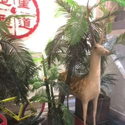 点击看大图 -重道造型