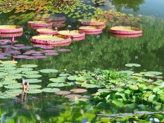 -国家植物园南园