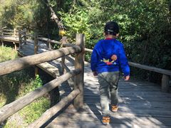 -蟠龙山长城景区