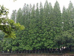 android_upload_pic-八大关景区