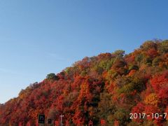 -天女山森林公园
