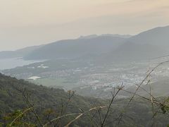 -三亚亚龙湾人间天堂鸟巢度假村
