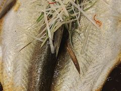 -豆花酒楼·三十八年匠心(秦皇东大街店)