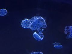 -五缘湾悦都汇购物中心