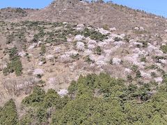 -香山公园