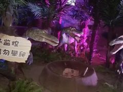 -寻龙山风景旅游区