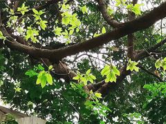 -星海音乐学院(沙河校区)