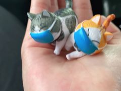 -喵屿·大理花园猫咖