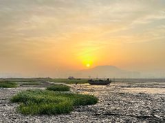 -北岐滩涂