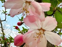 -千龙湖生态旅游度假区