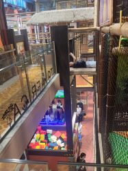 -卡通尼·Safari非洲探索乐园·生日会(金桥国际商业广场店)