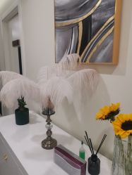 -海涛医疗美容·面部抗衰·注射美鼻