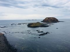 -企鹅岛