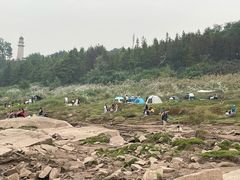 -金海湾滨江公园