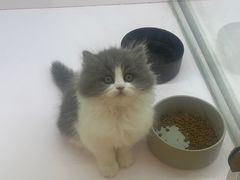 -狗道宠物(常熟印象城店)
