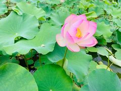 -长安上水缘度假庄园