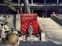 -潭柘寺景区