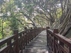 -乌山风景区