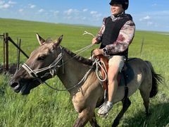 -呼和诺尔旅游景区