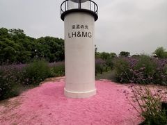 -梁鸿国家湿地公园