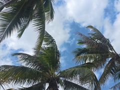 -三亚西岛海洋文化旅游区