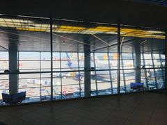 -谢列梅捷沃国际机场