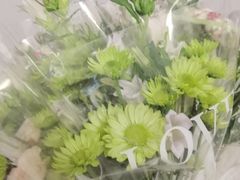 -循礼门鲜花花市(武汉循礼门店)