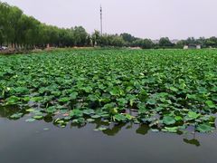 -亲兄弟真人CS团建拓展基地