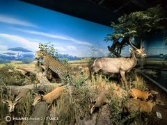 -陕西自然博物馆