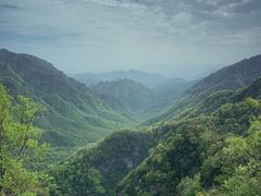 -秦岭风景区
