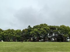 -上海月湖雕塑公园