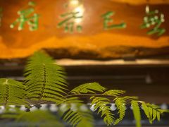 -普洱茶府(博乐广场店)