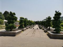 -石家庄市植物园