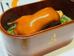 -鹿园 MOOSE(长宁店)