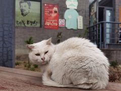 -北京鲁迅博物馆(北京新文化运动纪念馆鲁博馆区)