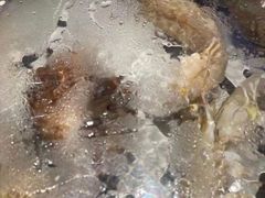 -海味当家·蒸锅海鲜(中山广场创始店)