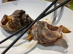 野生大连海螺-丁字口海鲜热炒·烧烤大排档