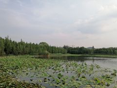 -云龙湖旅游景区