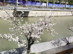 -星巴克(张家港谷渎港店)