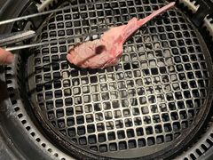 -赤坂亭M9和牛烧肉·日料398放题(万达店)