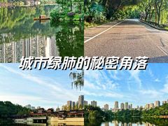 -重庆彩云湖湿地公园