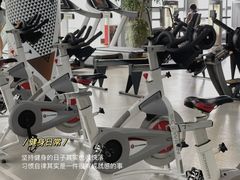 -天行健身＆天行拳馆跆拳道·格斗TXGYM