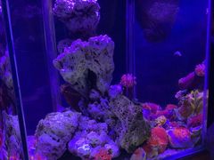 -太平洋海底世界