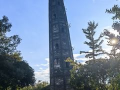 -上海佘山国家森林公园天马山园