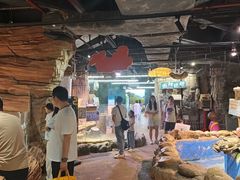 -正佳雨林生态植物园