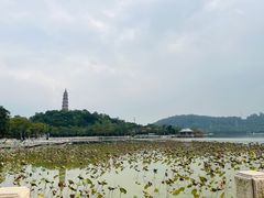 -顺峰山公园