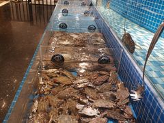 -蓝钻·国际美食海鲜自助百汇(西直门店)