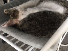 -UNI UNI(环亚凯瑟琳店)