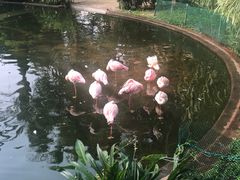 -九龙公园