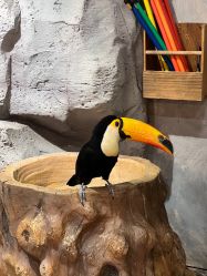 -Zoolung Zoolung动物主题公园(海信广场店)